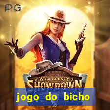 jogo do bicho tipos de apostas